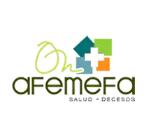 Aseguradora AFEMEFA
